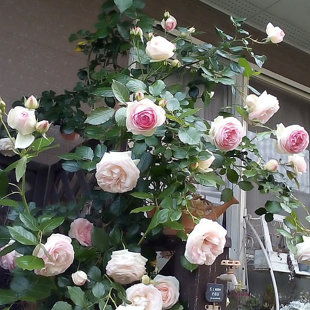 mariagardenさんの実例写真