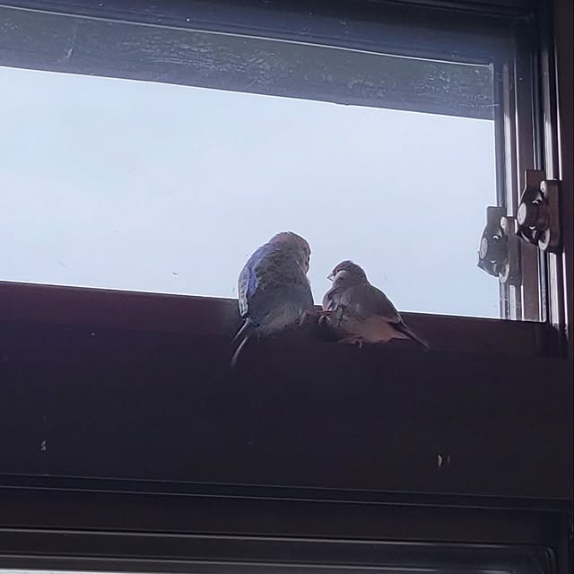 Mariさんの部屋