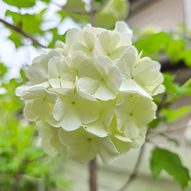 min_nimさんの部屋