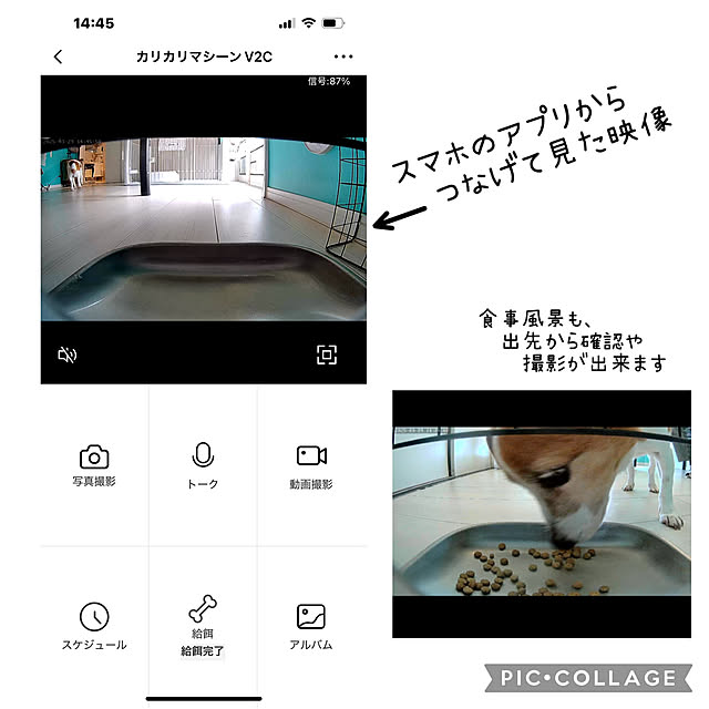 kittyさんの部屋