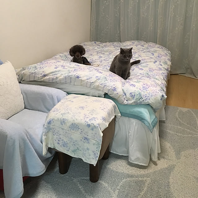 fionaさんの実例写真