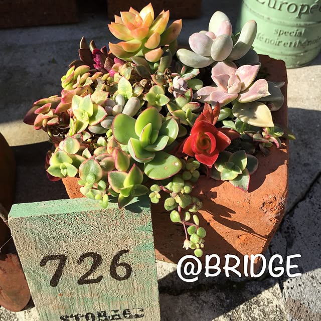 bridge2080さんの実例写真