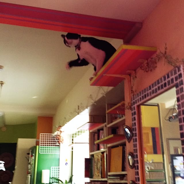 kimishigureさんの実例写真