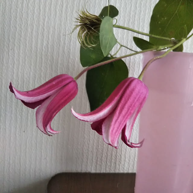sa.yさんの実例写真