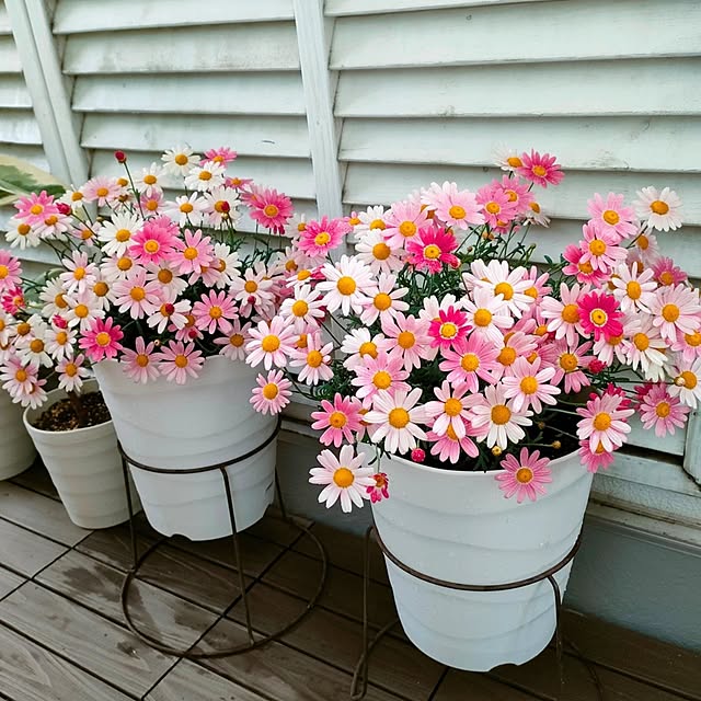 VERANDARJUNさんの実例写真