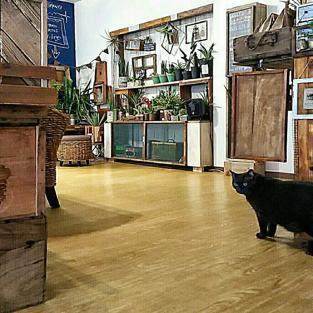 ugさんの実例写真