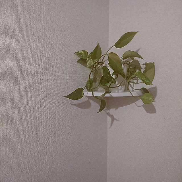 kyoko_aさんの実例写真