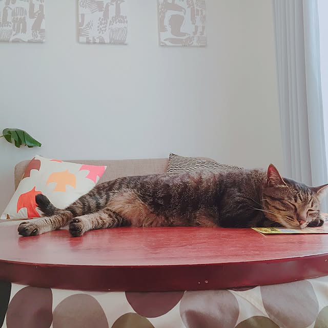 nyan.73さんの実例写真