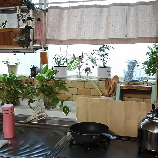 naopyiさんの実例写真