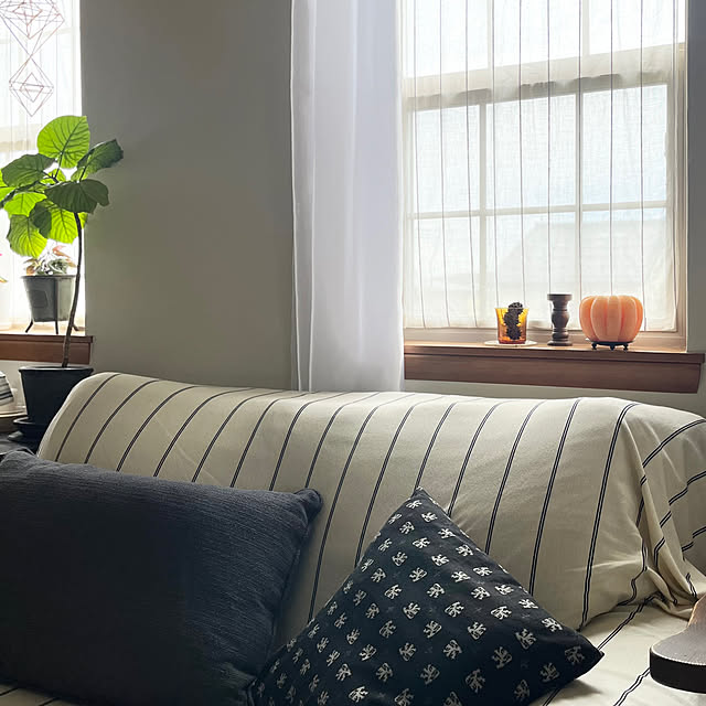 kinu-itoさんの部屋