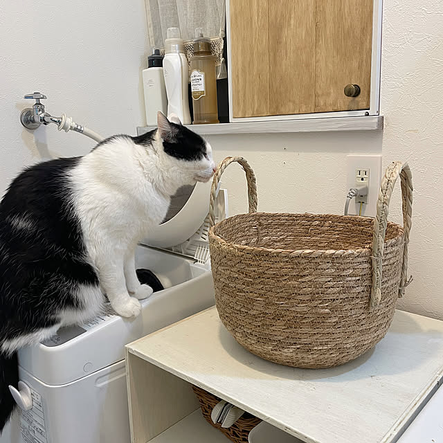 harukaさんの部屋