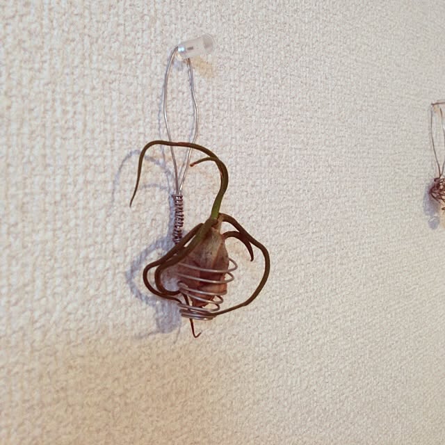 yufi25さんの実例写真