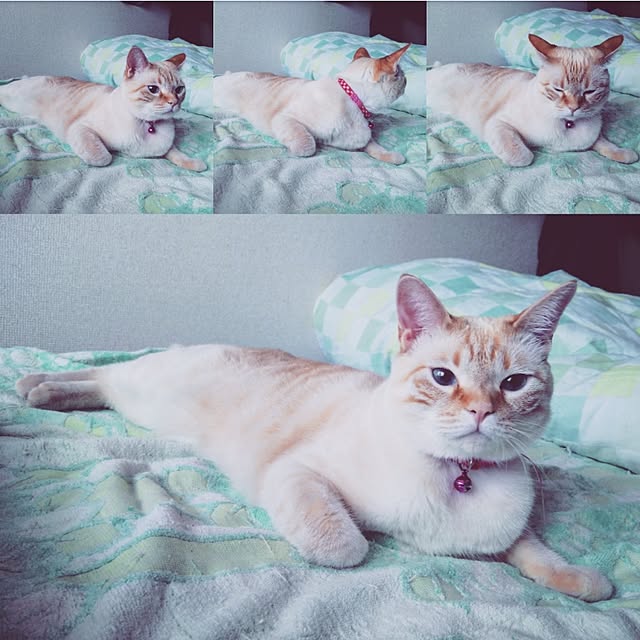 mntcさんの実例写真