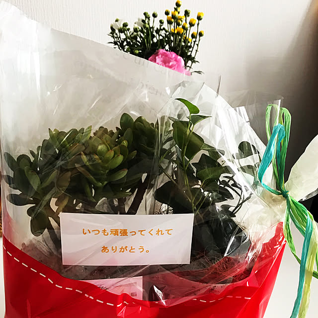 eririnkoさんの実例写真
