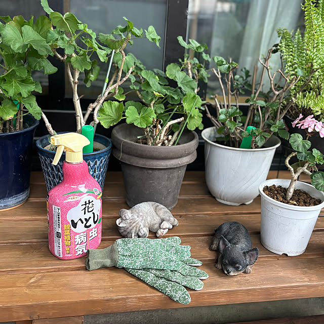 CoCo0617さんの実例写真
