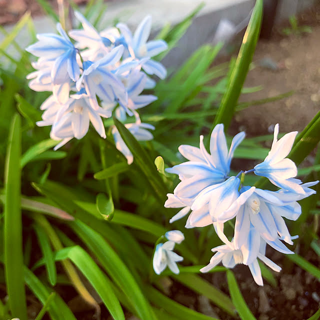 tomoさんの実例写真