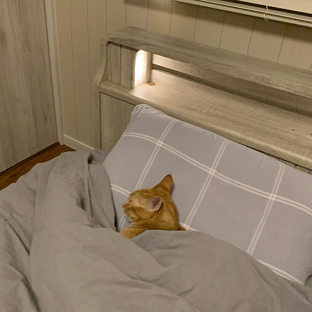 mikeume7さんの実例写真