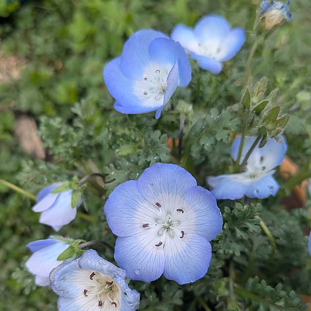 Rさんの実例写真