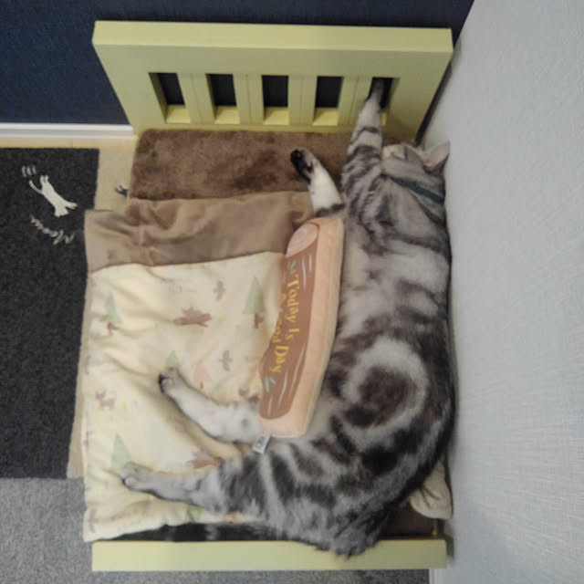 NANACOCOさんの実例写真
