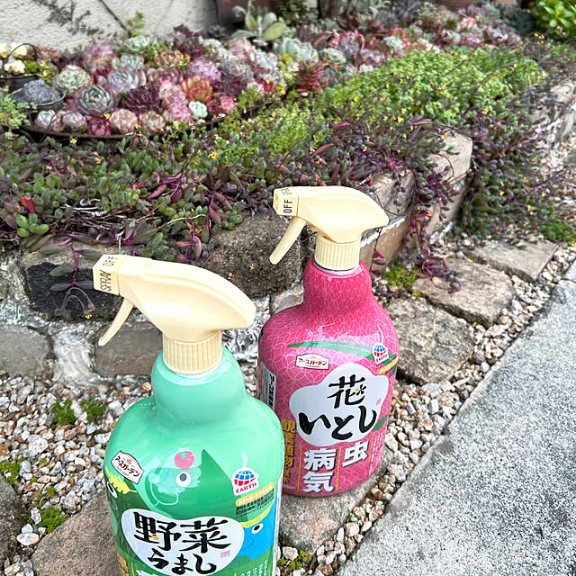 shhさんの部屋