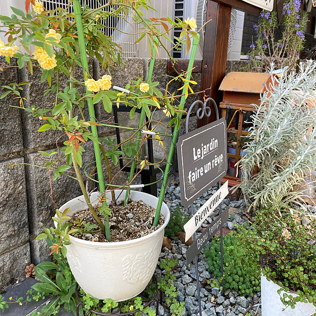 anko.hibuさんの実例写真