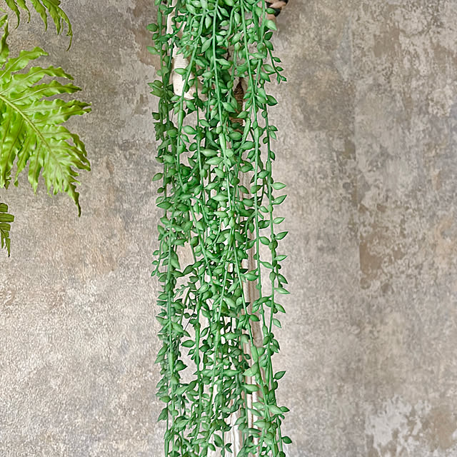 REI015mさんの部屋