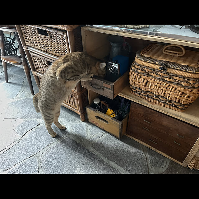 marusanさんの実例写真