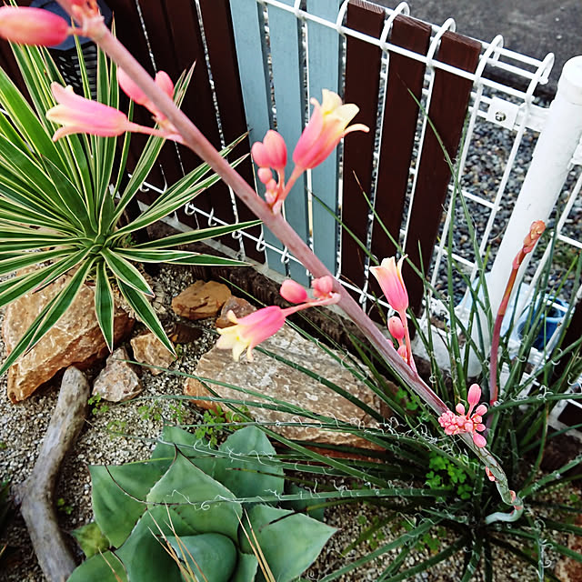 ot-gardenさんの実例写真