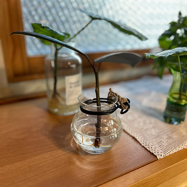 botanさんの部屋