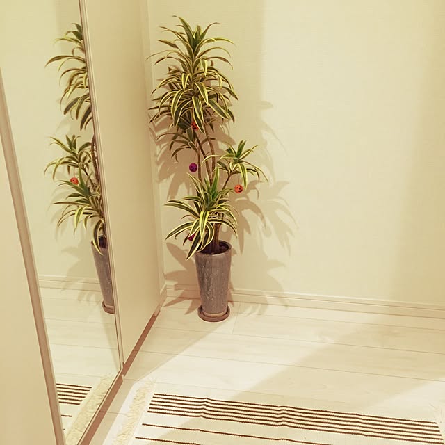 kokimisamaさんの実例写真