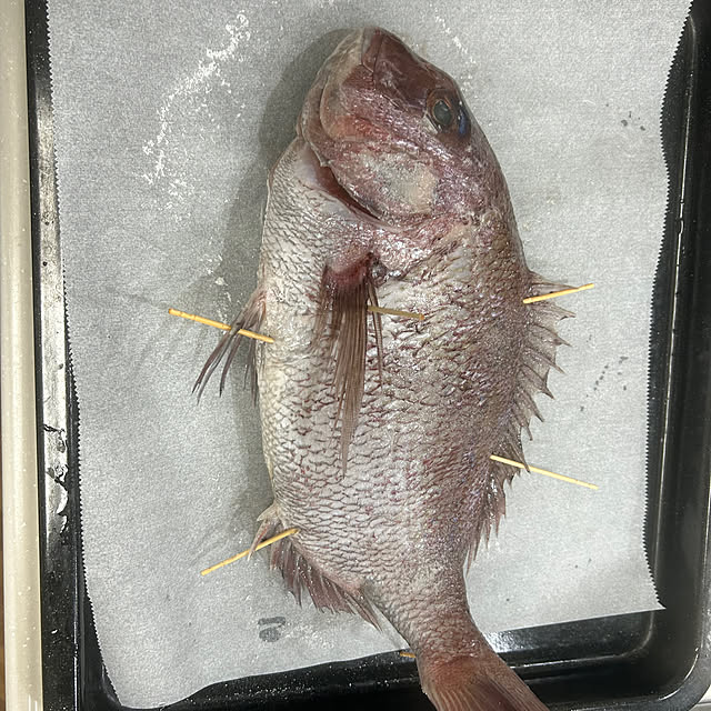 speranzaさんの部屋