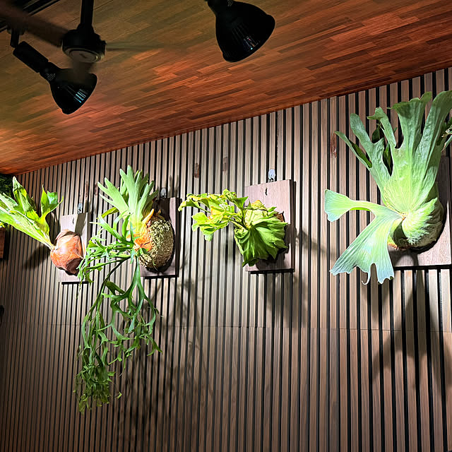 Takuさんの実例写真