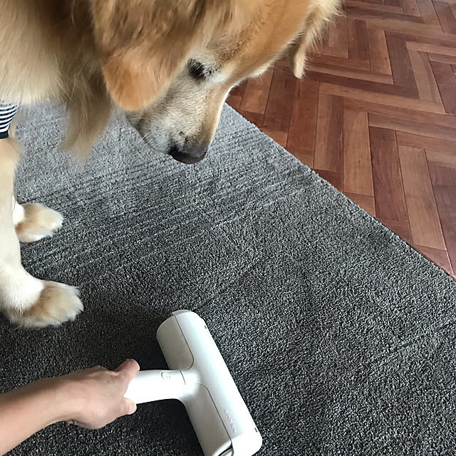 328さんの実例写真