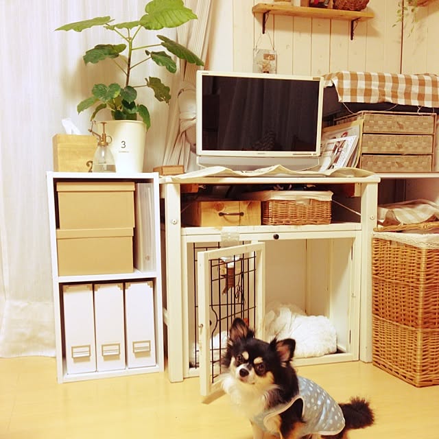 m.m_2009さんの実例写真