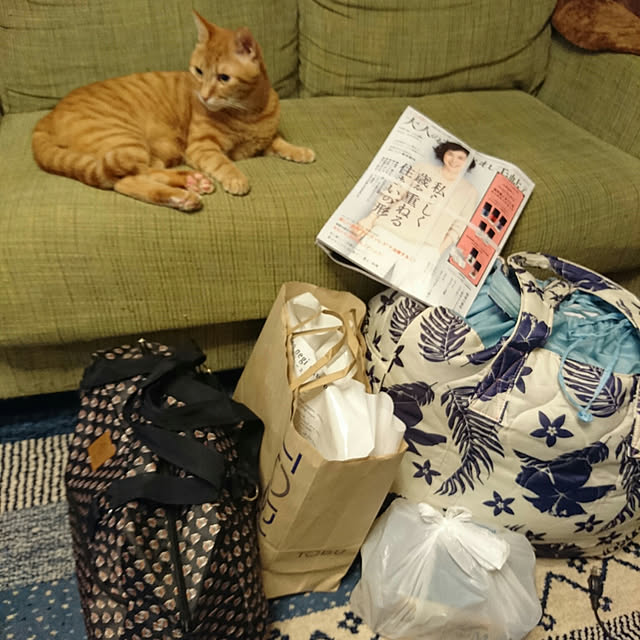 okyosan101さんの実例写真