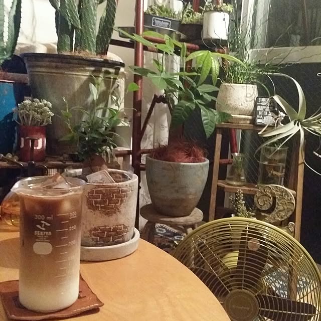 yuriさんの実例写真