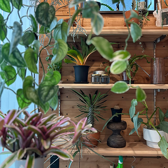 nene0183さんの部屋