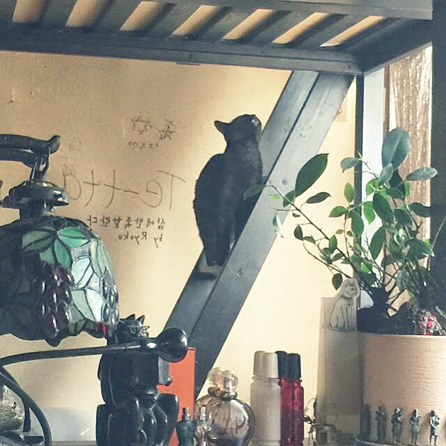 CrowAndDoveさんの実例写真