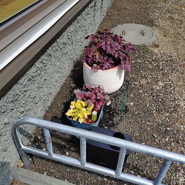mamaさんの部屋