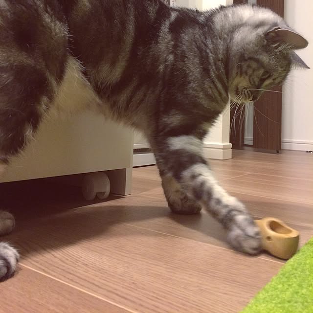 mikomaruさんの実例写真