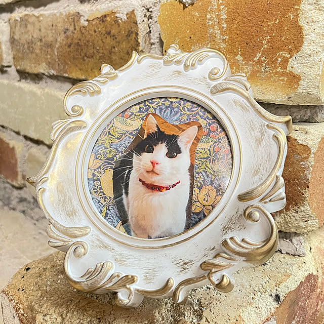 nekosamaさんの実例写真