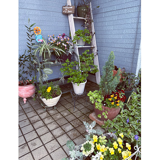 CoCo0617さんの部屋