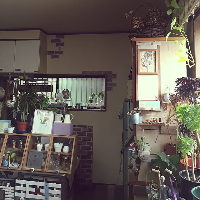 Norikoさんの実例写真