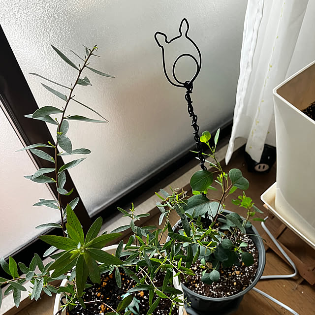 kagomamaさんの部屋