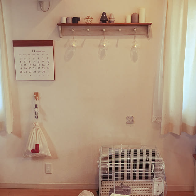 shocoraさんの実例写真