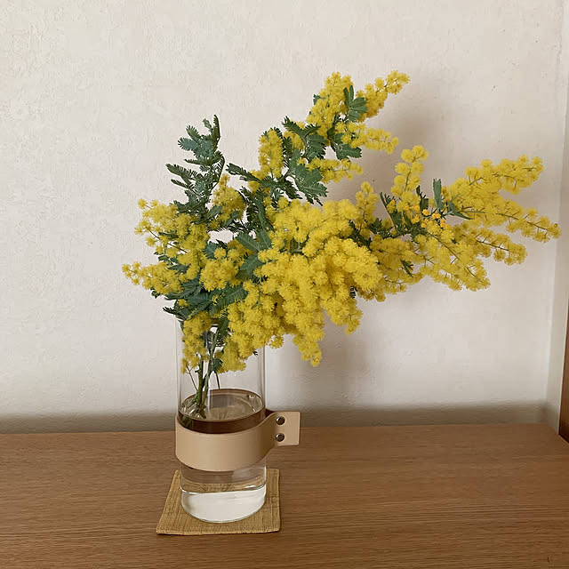 kjさんの実例写真