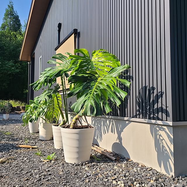 Rubiconさんの部屋