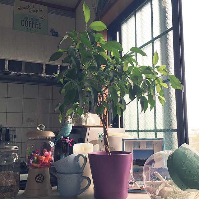 ri.o_o.naさんの実例写真