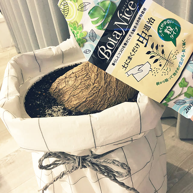 mieさんの実例写真
