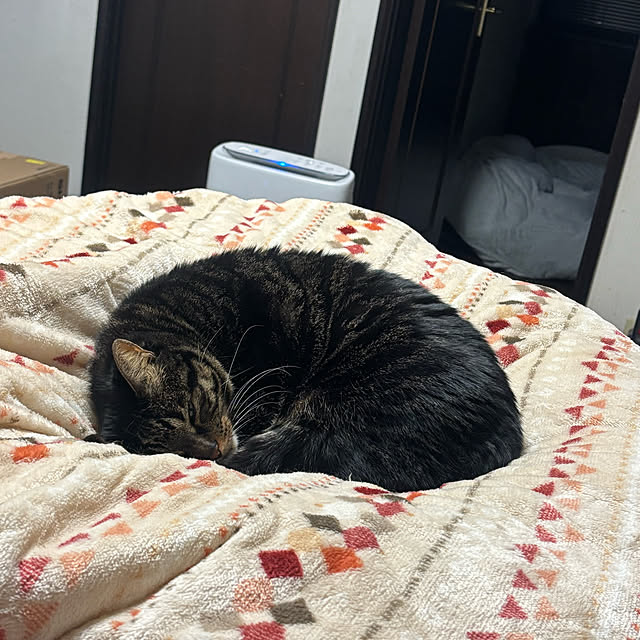 momocchiさんの実例写真